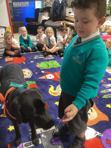 A young boy in academy uniform is pictured interacting with Willow the Dog Mentor in a classroom in the academy building.