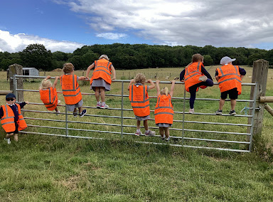 A group of Nursery pupils are pictured wearing orange-coloured fluorescent jackets and climbing over a metal gate on the grounds of a farm in the countryside.