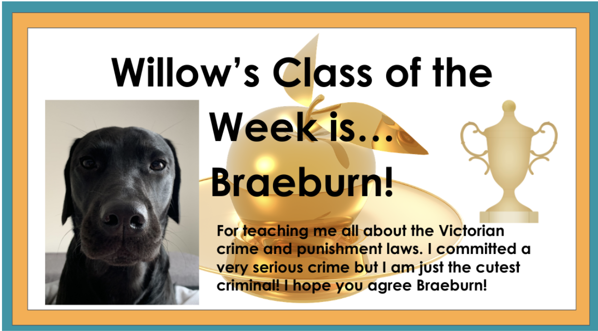 Willow's Class of the Week is... Braeburn!